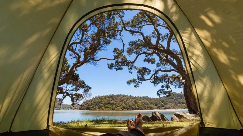 Goat Island Camping NZ