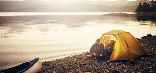 Goat Island Camping in NZ
