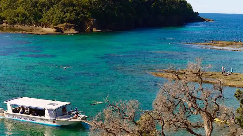 Goat Island glass bottom boat NZ