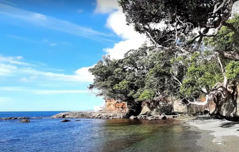 New Zealand Goat Island