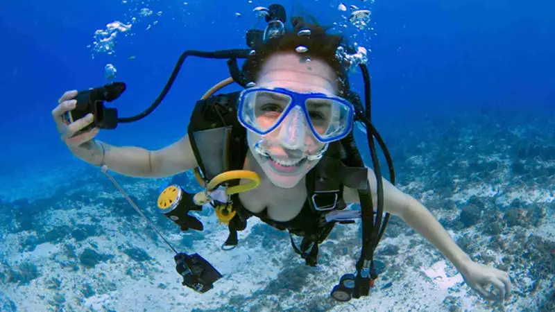 New Zealand dive shop