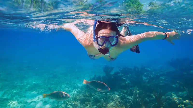 Snorkeling Goat Island